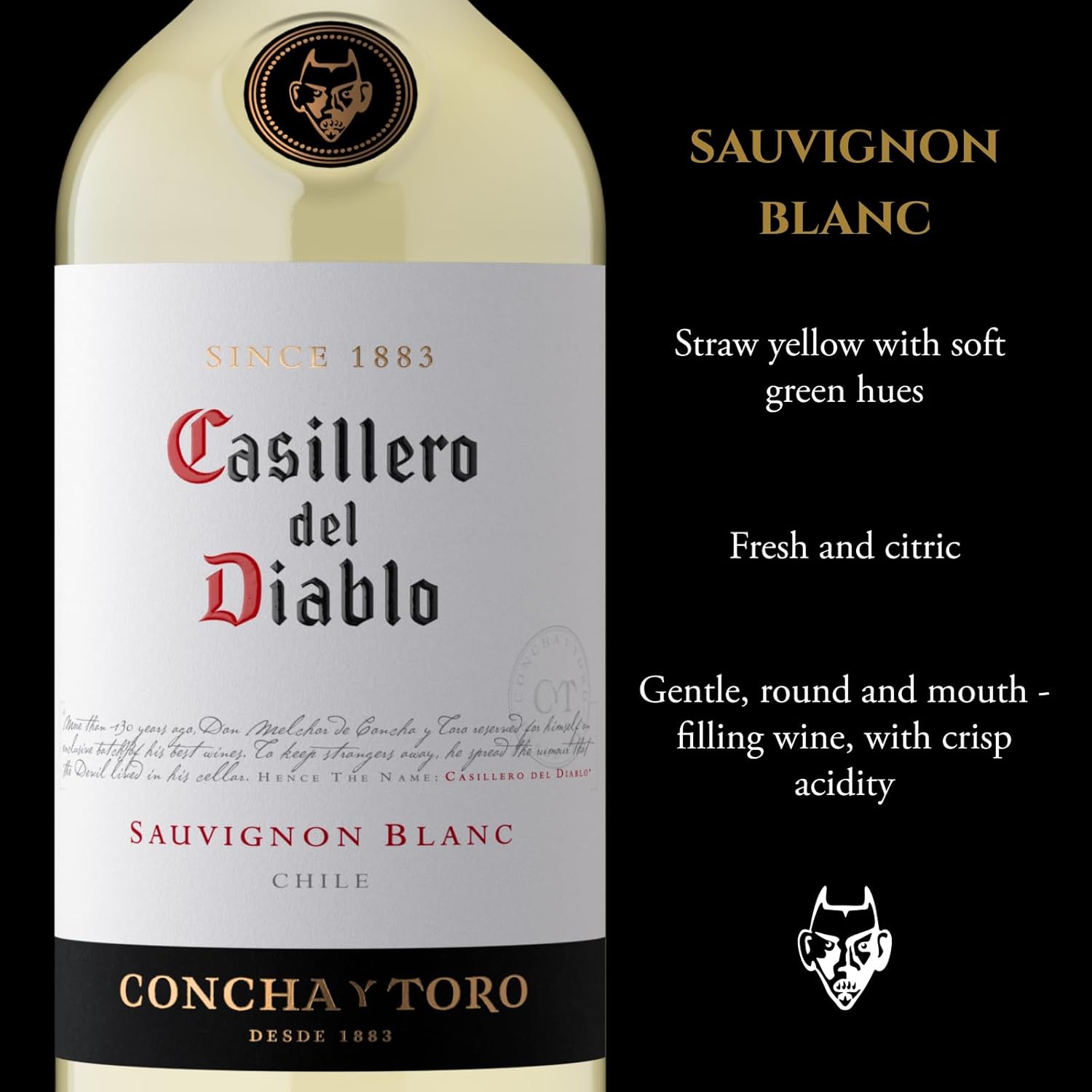 Concha y Toro Casillero Del Diablo Sauvignon Blanc 750ml - Imagem 2